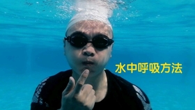 自由泳教学换气视频 eb38ed102f69cfaf3f33a9c6415b57a7b9a1b14a.jpg@280w_158h_1c_100q.jpg