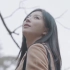 【Kyung6Film】金宝拉Bora Kim超美日本旅拍Vlog（名古屋，岐阜，长野，金泽，三重县）