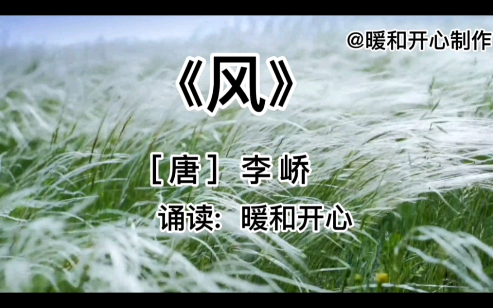 古诗《风[唐]李峤朗读赏析