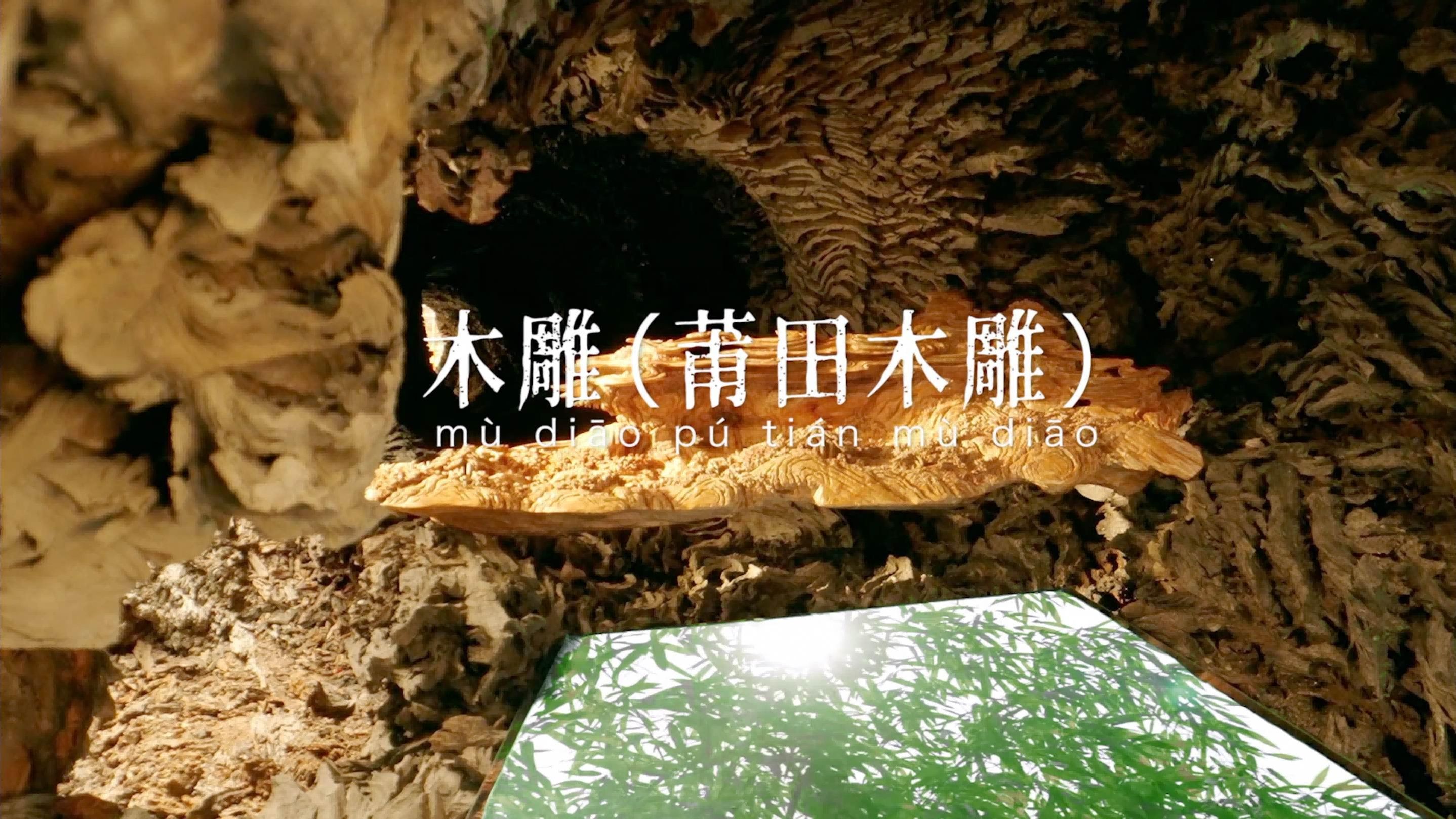 《非遗里的中国》第一季 技艺小片—— 木雕（莆田木雕）