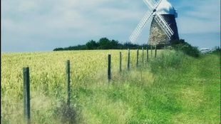 修炼爱情钢琴谱简谱_林俊杰修炼爱情钢琴谱(4)