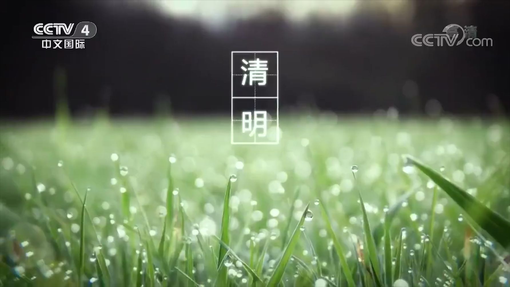 清明节为什么叫清明：既是节气也是节日 寓意“天气清澈，景物明晰”