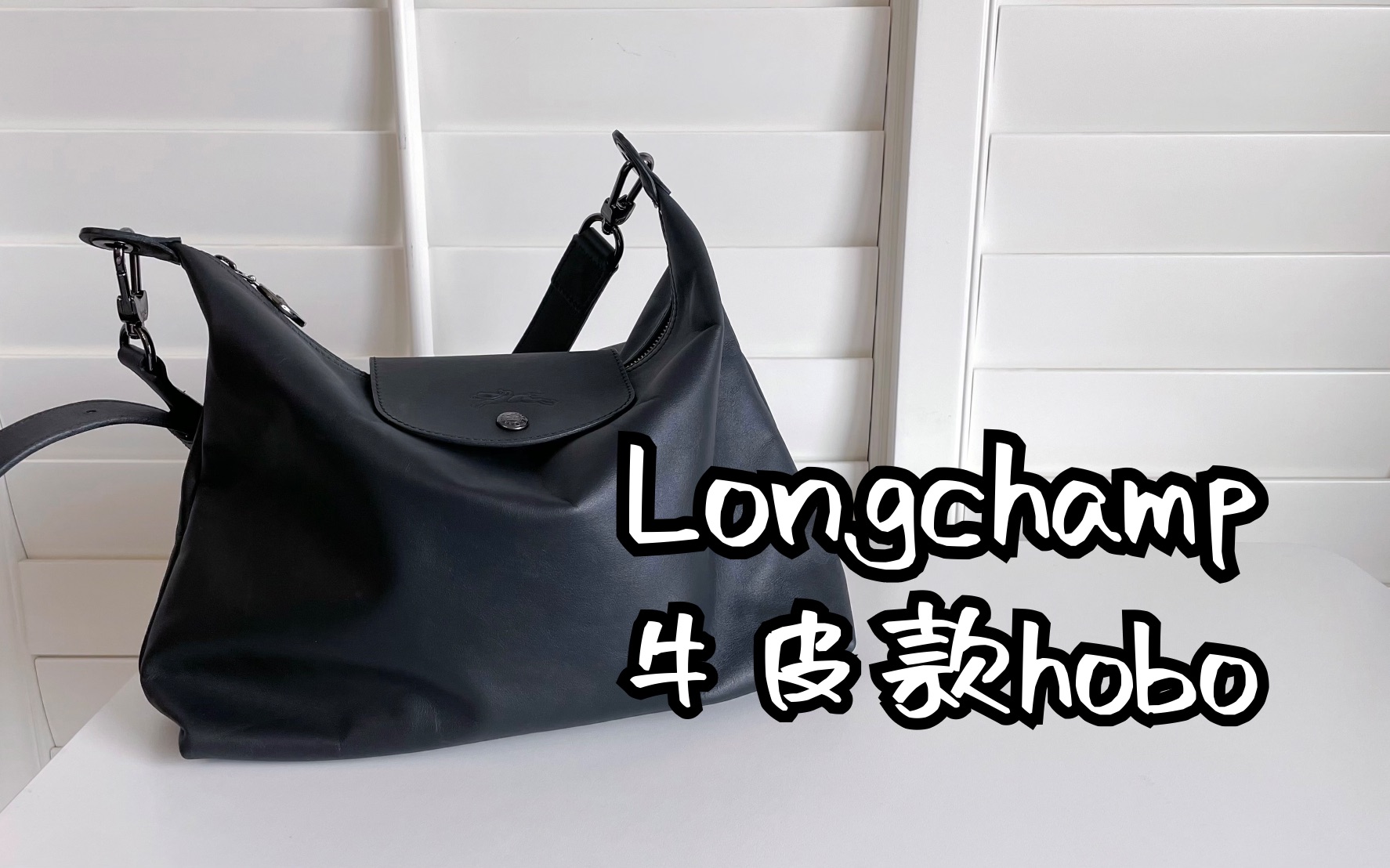 【购物分享】聊聊Longchamp这只“爆款”牛皮hobo包
