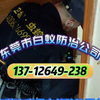 东莞清溪白蚁防治-清溪灭白蚁公司（师傅持白蚁防治探测仪检查更专业)常平大岭山洪梅道滘麻涌白蚁防治中心