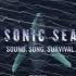 纪录片.探索频道.噪声海洋.Sonic.Sea.2016.预告片[生肉]
