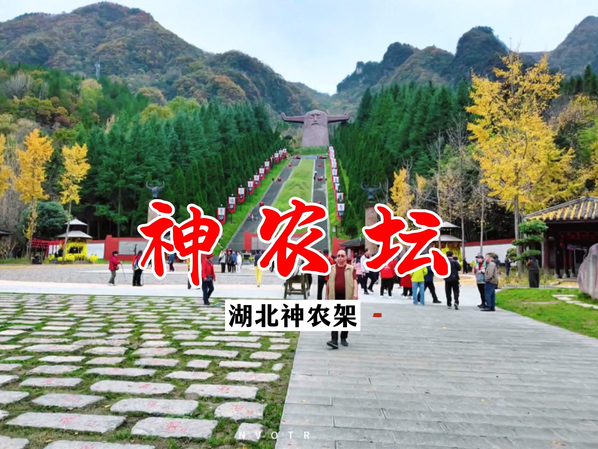 神农坛最全攻略，千年铁坚杉+神农雕像，一次看完神农架精华