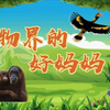 （1080P+）《科学动物园》 20221119 动物界的好妈妈