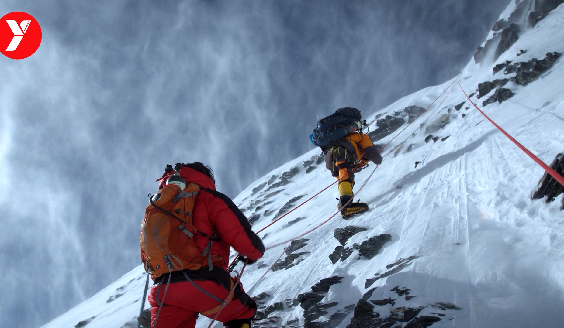 【越哥】8.6分神片！登顶珠峰10次的女人，竟然被家暴了10年！