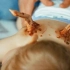 一部耐人寻味的电影《瑞奇》，婴儿带着翅膀出生，是否该将其剪断？