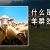 两分钟带你了解什么是羊群效应？羊群效应也叫从众心理