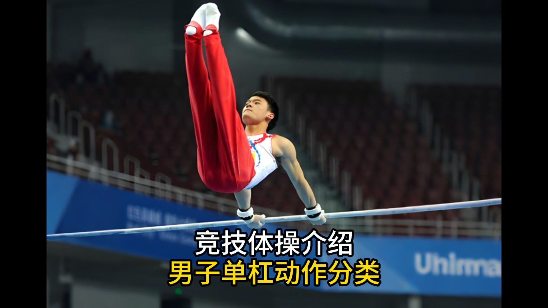 男子单杠动作分类