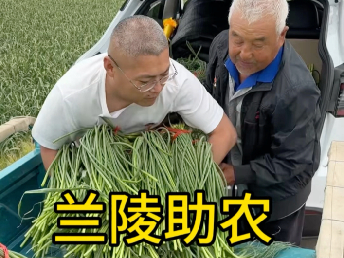 炊哥不加戏