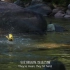 钓鱼敢死队  (1080P) （全集  英语，中英字幕）
