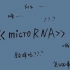 【microRNA介绍】形成过程和作用机制