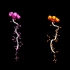 两个多肽自折叠分子动力学模拟 (Gromacs)
