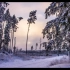 冬天的美丽景色间 隔拍摄摄 4K 60FPS