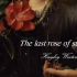 【爱尔兰经典民歌︱夏日最后一朵玫瑰】The last rose of summer-Hayley Westenra
