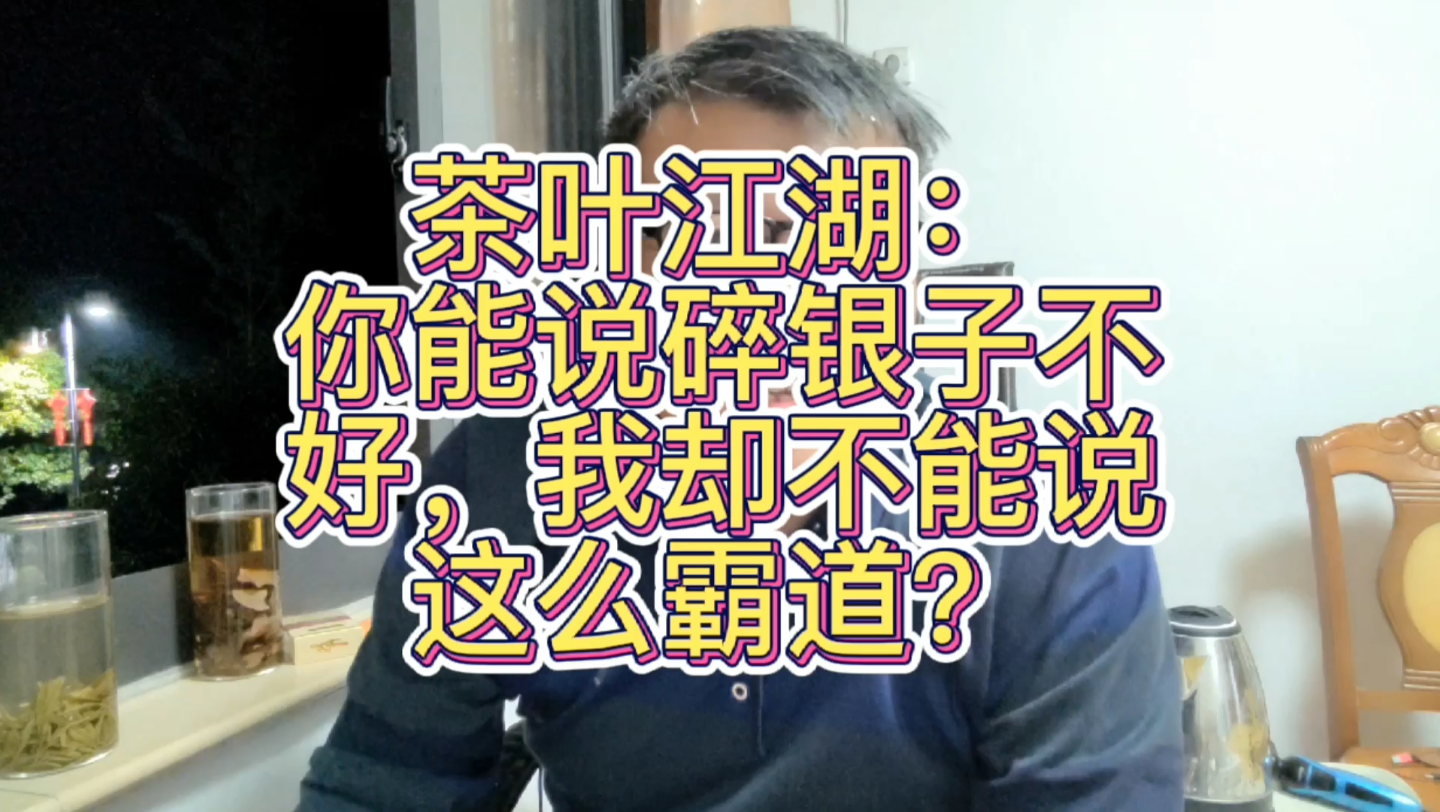 凭什么你能说碎银子不好我不能说你能说金融茶不好我不能说?凭你是文痞?哔哩哔哩bilibili