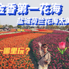 盐城最美荷兰花海！江浙沪出行目的地必打卡