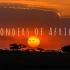 非洲草原之旅（肯尼亚-坦桑尼亚）Wonders of Africa