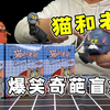 哈哈哈哈哈！我从来没见过这么好笑的奇葩盲盒！爷青回猫和老鼠