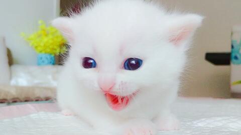 ec7fb9e299a2493b2b73876548a3c95864656dd5.jpg@480w_270h_1c