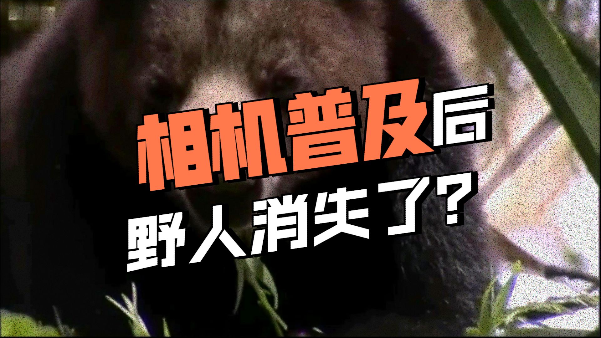 摄像头普及之后“野人”就消失了？依然存在，只是不再神秘