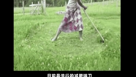 ecafda040469f9b5c6457db21d262482c2201d09.jpg@280w_158h_1c_100q.jpg