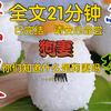 【全文已完结】你们知道什么是狗妻吗？把养熟的老狗剥光皮肉浑身扎针，鲜血淋漓地封进棺材里，九天后开关就有了漂亮听话的狗妻