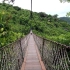 亚龙湾热带森林公园的过江龙索桥算是半沉浸式体验
