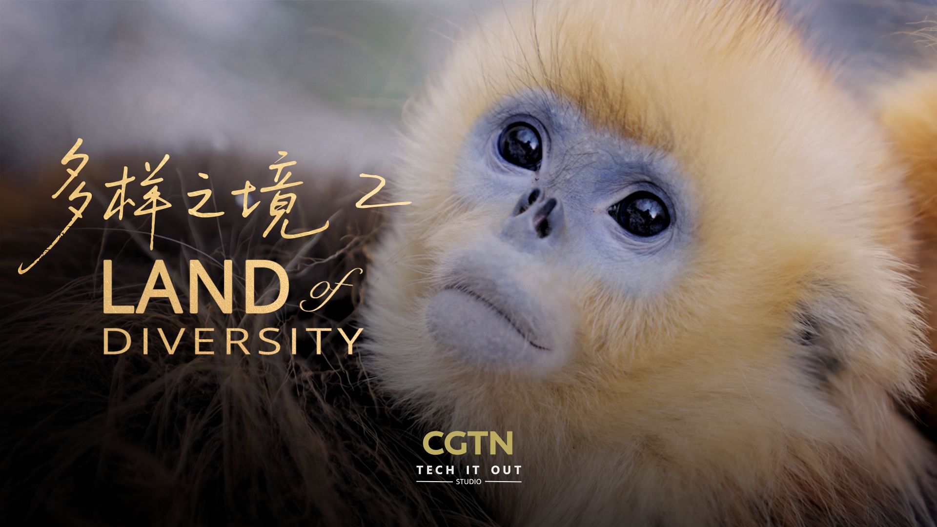 多样之境2：人与生物圈