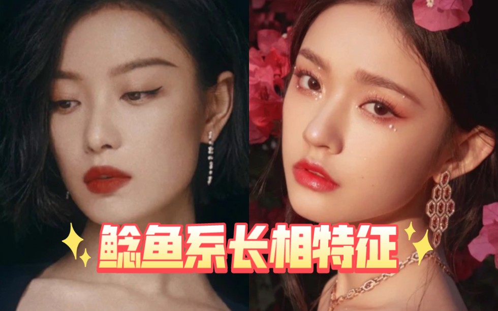 鲶鱼系长相特征#倪妮#林允#审美提升#颜值#变美#明星看脸