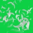 【绿幕素材】漂浮的羽毛绿幕素材免费无水印自取［1080 HD]
