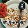 25年酢浆草收球第一弹，去年种下一堆收到也是一堆