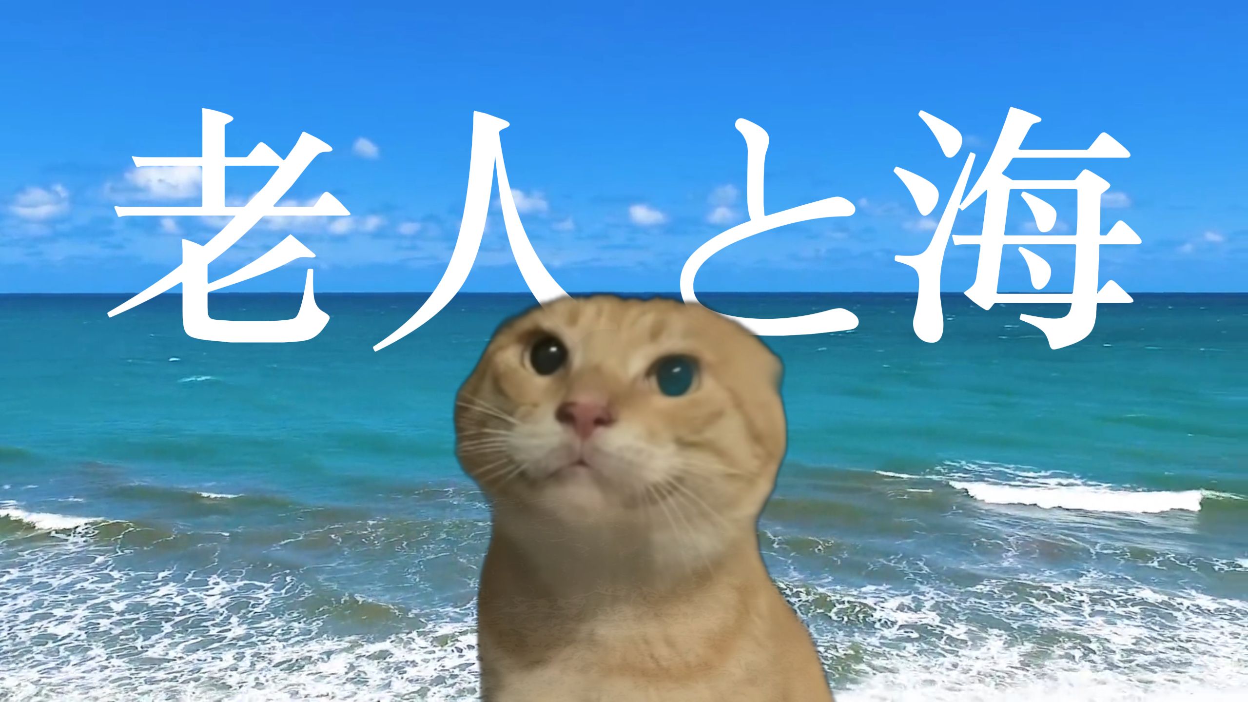 基米也想去看海