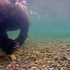 大棕熊游泳，在水里的它是什么样子？熊乐园（7）