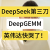 DeepSeek第三刀！DeepGEMM，英伟达快哭了