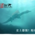 【中文熟肉】NHK纪录片 恐龙超世界 第2集：最强的海怪