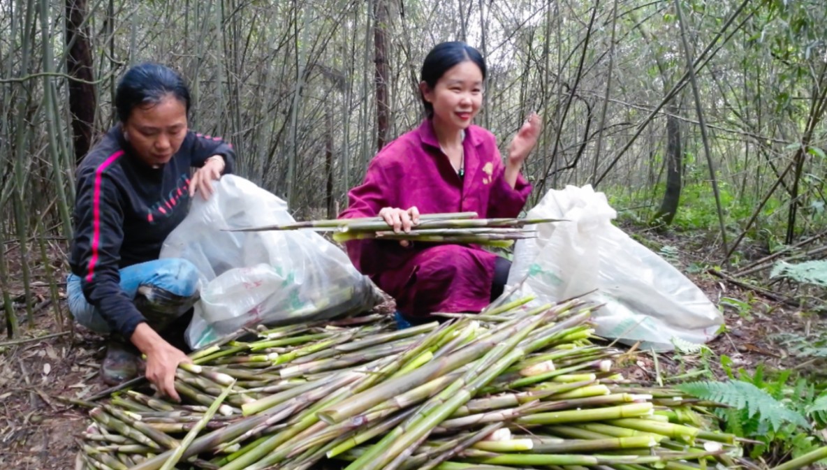 今年最后一次拔竹笋，没想到这还么多，拔得太过瘾连衣服都刮烂了