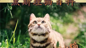ed93b86a628be3581bb5efc8299b95b24ab7d38e.jpg@280w_158h_1c_100q.jpg