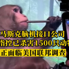被指控已杀害1500只动物，马斯克脑机接口公司面临美国联邦调查