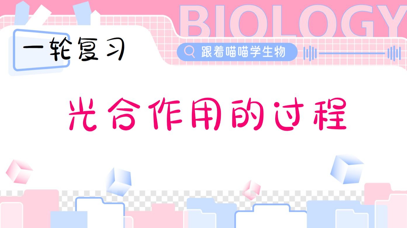 光合作用的过程【一轮复习】