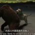 《侏罗纪格斗俱乐部》-巨型短面熊与美洲拟狮