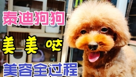 edb484848b11a0eb48f64784e7b07a2c3cb88a99.jpg@280w_158h_1c_100q.jpg
