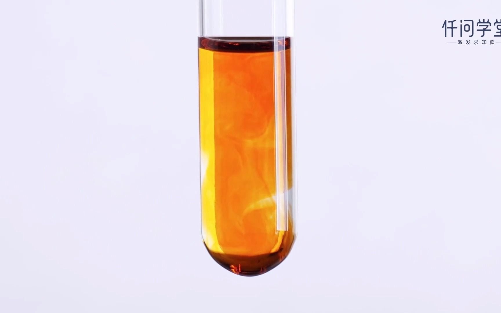 09-亚铁离子的检验