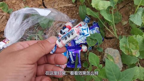 ee11a0debc3dbdb45ae52a554677dc4f0b21b5d5.jpg@480w_270h_1c