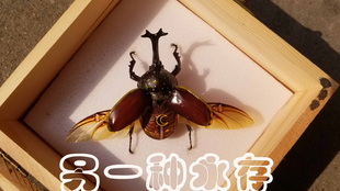 ee13fd4e53e91f0518016f5bfbb076859ddbfaf0.png@310w_174h_1c_100q.jpg