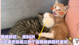 ee320e31e223db37b622b54da3922cece16330d6.jpg@280w_158h_1c_100q.jpg