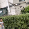 见到路人小哥哥激动成这样，咋滴小孩哥你俩上辈子是认识吗