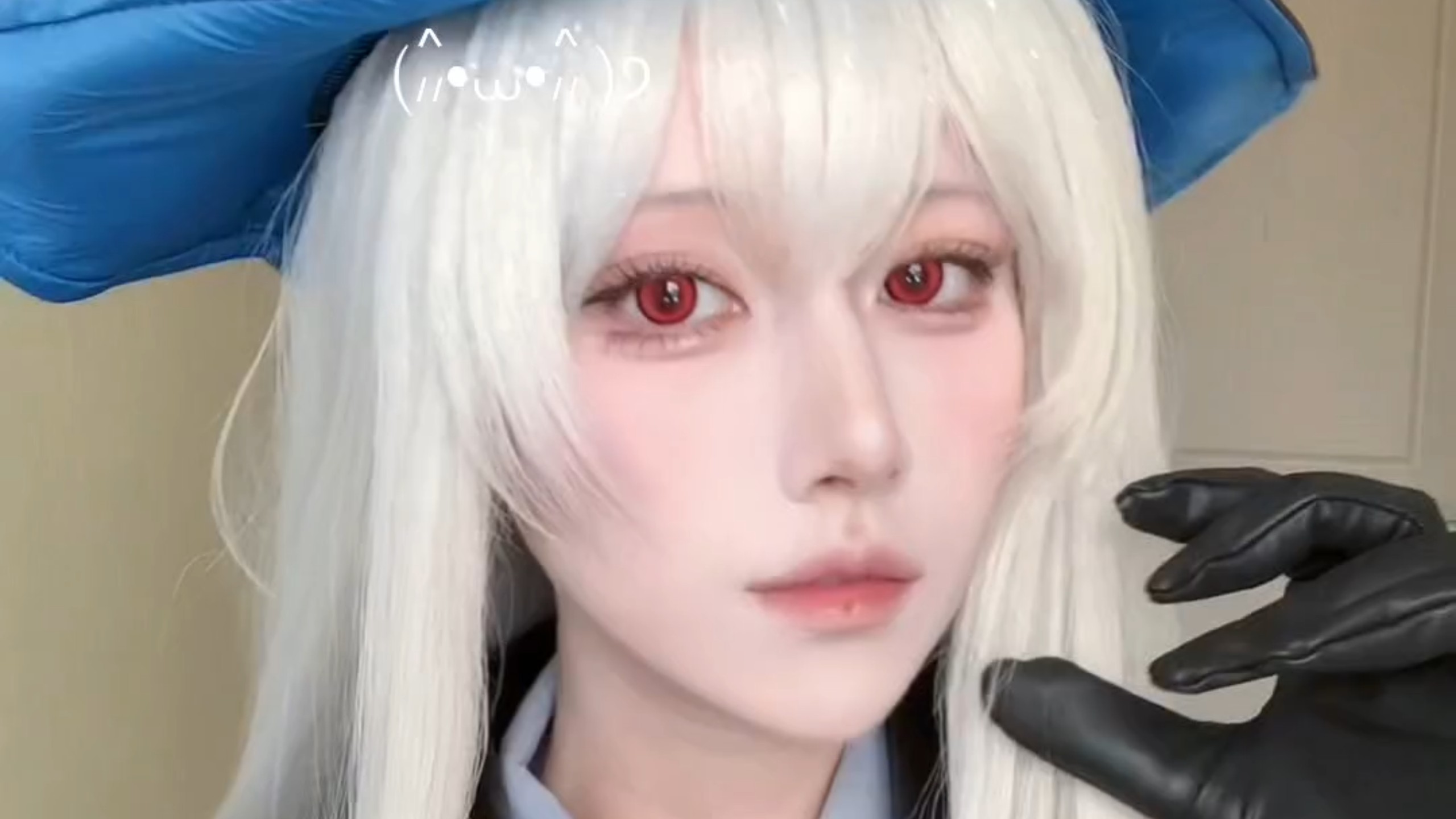 呆呆蒂蒂